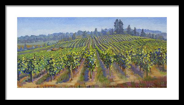 Vineyards In California - Framed Print