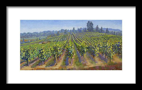 Vineyards In California - Framed Print