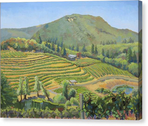 Vineyards In The Mountains - Canvas Print