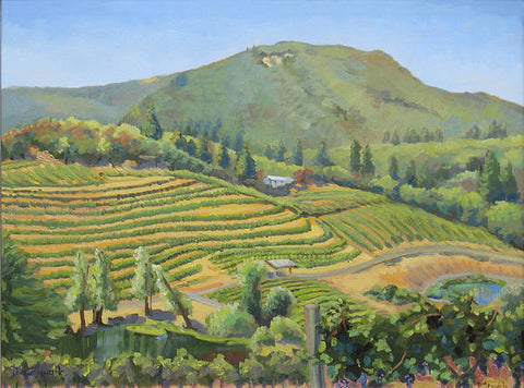 Vineyards In The Mountains - Art Print