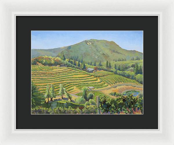 Vineyards In The Mountains - Framed Print