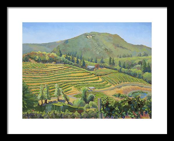 Vineyards In The Mountains - Framed Print