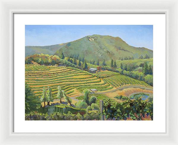 Vineyards In The Mountains - Framed Print