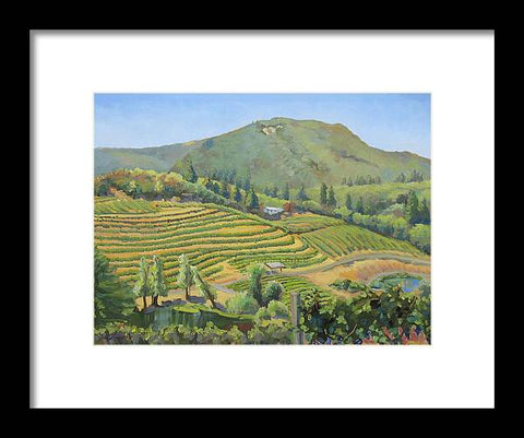 Vineyards In The Mountains - Framed Print