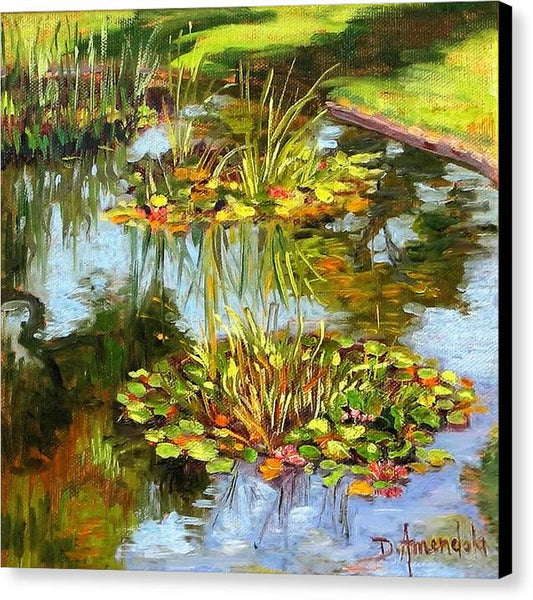 Water Lilies In California - Canvas Print