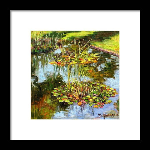Water Lilies In California - Framed Print